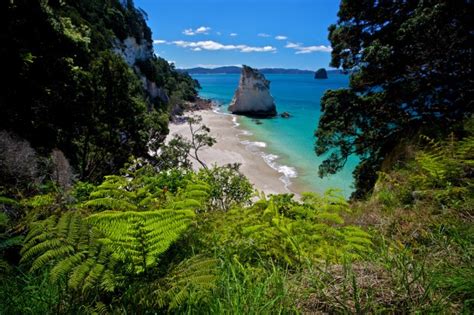 Cathedral Cove, New Zealand - YourAmazingPlaces.com