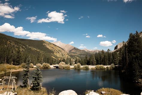 Salida CO Mountain Wedding at Elk Creek Lodge — Forest Picture Company