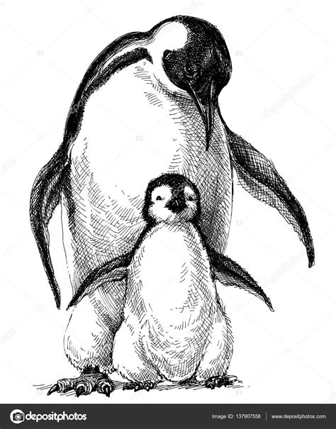 Penguins family drawing Stock Vector Image by ©Danussa #137907556