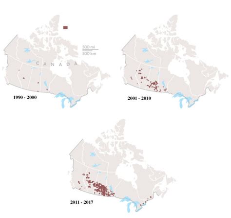 Huge Feral Hogs Wreaking Havoc And Building 'Pigloos' Across Canada