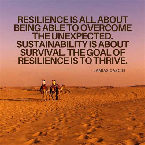 23 Inspirational Survival Quotes [with images]