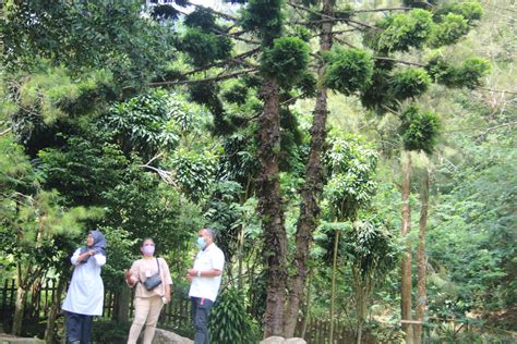 Peran Aset Negara dalam Konservasi Taman Nasional Gunung Gede Pangrango