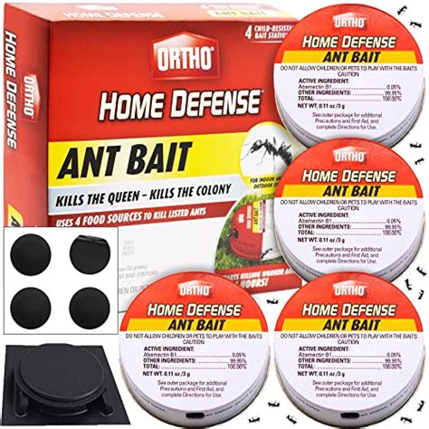 The 10 Best Ant Bait Traps Reviews & Comparison - Glory Cycles