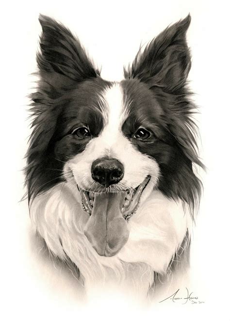 Border Collie Art | Dog paintings, Dog portraits, Border collie art