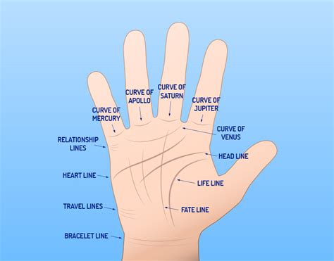 Palm Reading: Get to Known its Basics - WeMystic