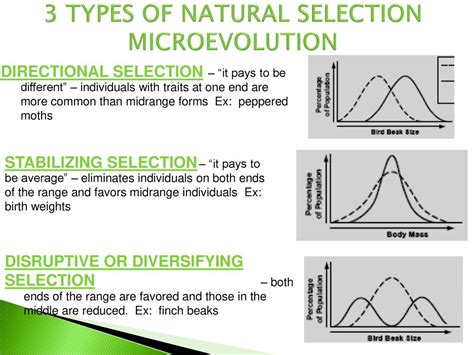 Evolution. - ppt download