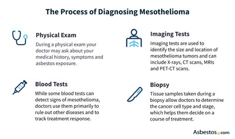 Mesothelioma Diagnosis: Key Tests and Methods for Diagnosis