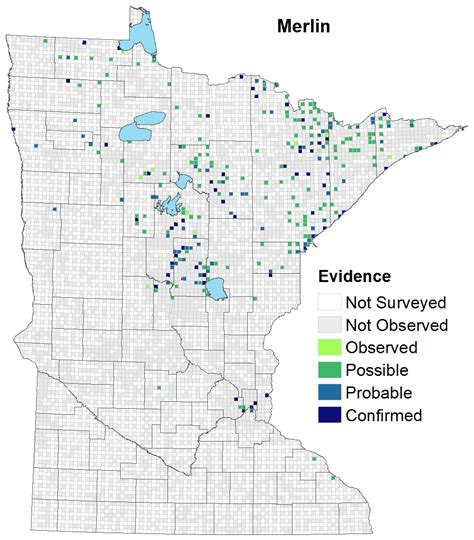 Merlin : Minnesota Breeding Bird Atlas
