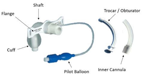 Critical Care Device Series: Tracheostomy Complications and Troubleshooting in the ED EMRA