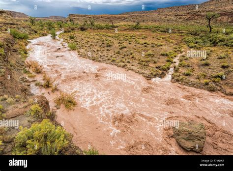 Flash flood desert hi-res stock photography and images - Alamy