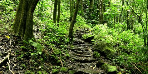 Oahu Hiking Trails | Best Hikes on Oahu, Hawaii | ILoveHawaii