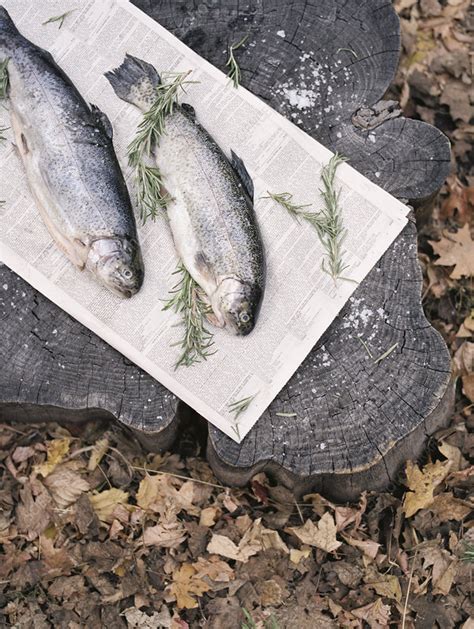 Two fish lying on a tree trunk - Stock Image - F011/4137 - Science ...