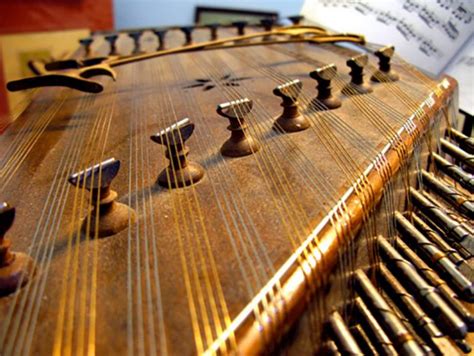 Iranian instrument attracts Japanese music-lover to Iran