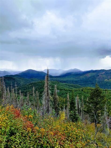 Panhandle Forest Collaborative - National Forest Foundation