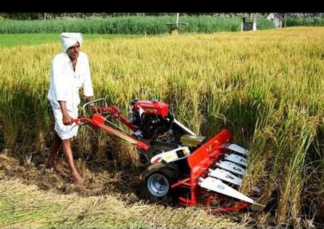 💐 Agriculture methods in india. Sustainable Agriculture in India ...