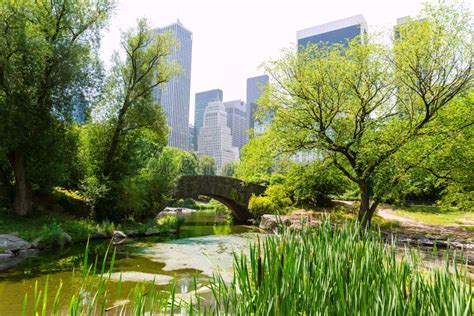 Central Park the Pond Manhattan New York Stock Image - Image of town, america: 49000371