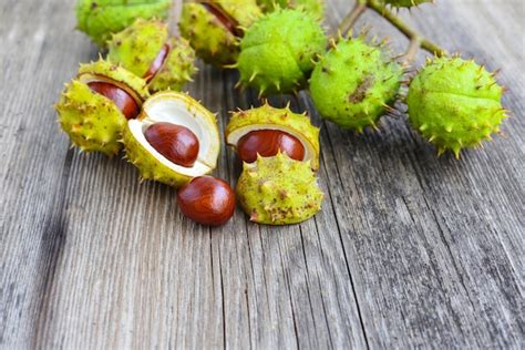 Premium Photo | Chestnut on old wooden background