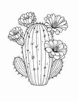 Cactus Coloring Pages Free Printable PDF sketch template