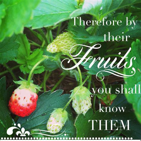 You will know them by their fruits, not by the scripture that they quote. | Scripture, Fear of ...