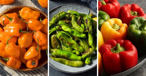 25 Different Types of Peppers and How to Use Them - Insanely Good