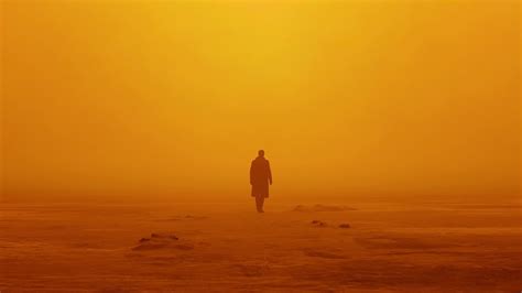 Blade Runner 2049 cinematography - Santini Photography