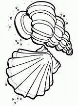 Free Printable Ocean Coloring Pages For Kids sketch template