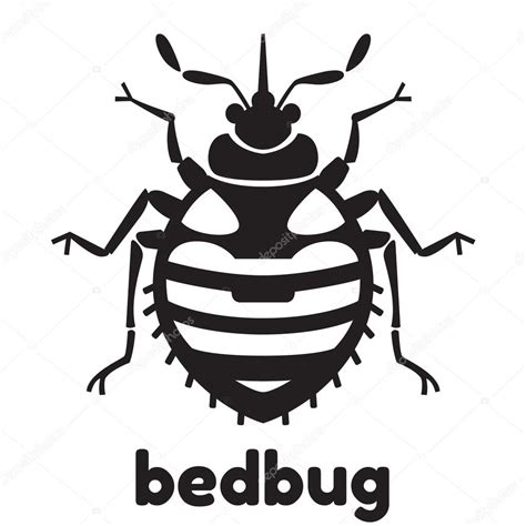Discover 129+ bed bug sketch super hot - in.starkid.edu.vn