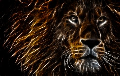 Lion With Colours Wallpapers - Wallpaper Cave