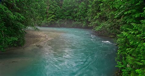 Clean, Safe, Plentiful: Designate the Nooksack River Wild and Scenic