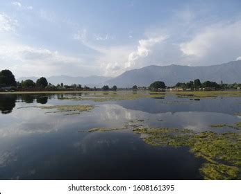 111 Nigeen Lake Stock Photos, Images & Photography | Shutterstock