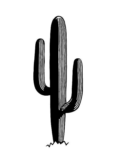 1,600+ Black And White Cactus Stock Illustrations, Royalty-Free Vector Graphics & Clip Art - iStock