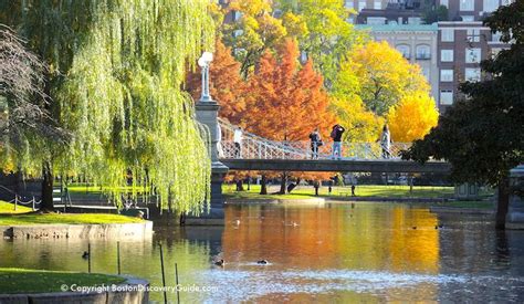 Boston Weather in November | What to Expect | Boston Discovery Guide