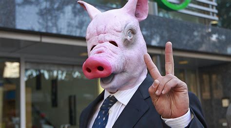 Animal Farm: Scientists create first pig-human hybrid (PHOTO) — RT Viral