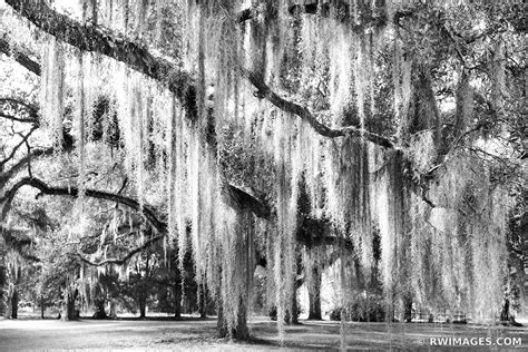 Fine Art Photography Prints | | | | | Louisiana Plantations - Color ...