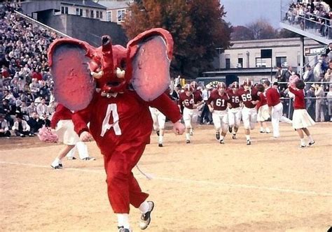 Big Al: The evolution of the Alabama mascot's look throughout the years - al.com