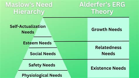 Alderfer's ERG Theory of Motivation [Explained] - BokasTutor