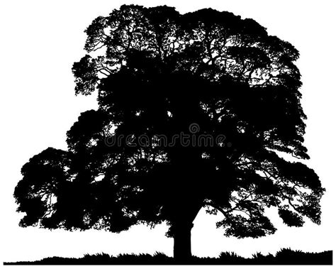 Silhouette of a lone tree stock illustration. Illustration of cartoon ...