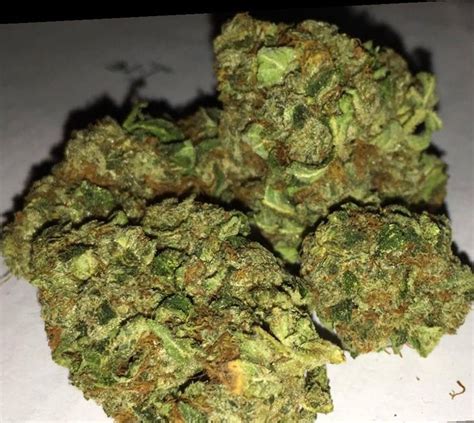 Marijuana White Fire OG Strain Review - NCSM