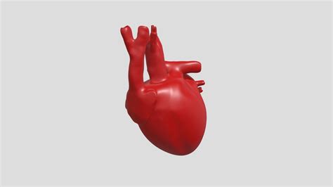 Human Heart - Download Free 3D model by Vikrama Raghuraman (@vikrama1998) [70f1f19] - Sketchfab