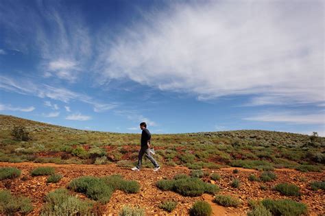 René Redzepi's New App Will Teach You to Forage For Food - Eater