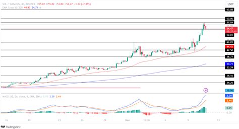 Solana Price Surges Over 50%! Will SOL Price Hit $60 Soon?