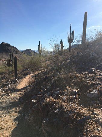 Phoenix Mountain Preserve - All You Need to Know BEFORE You Go - Updated 2019 (AZ) - TripAdvisor