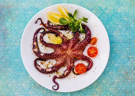 The Best 5 Grilled Octopus Dishes in Tarpon Springs | The FINsider