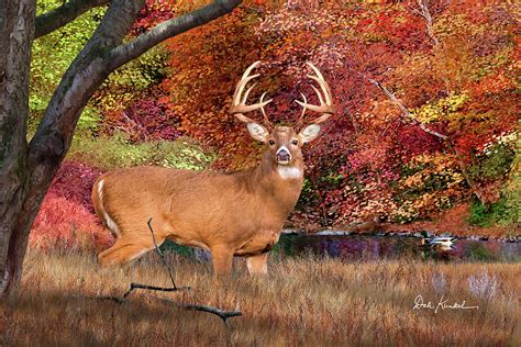 Deer Art - Whitetail Deer - Autumn Majesty Painting by Dale Kunkel Art