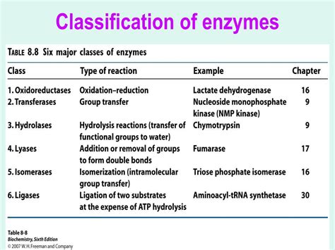 PPT - Enzymes PowerPoint Presentation, free download - ID:6198545