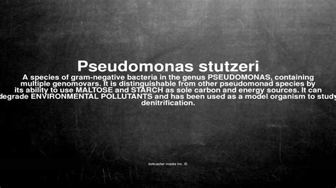 Medical vocabulary: What does Pseudomonas stutzeri mean - YouTube