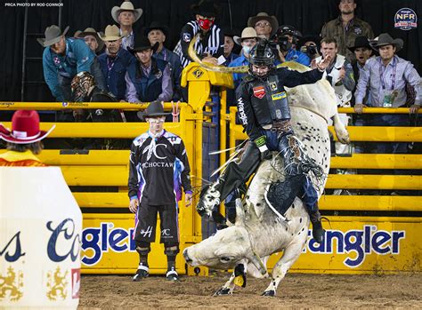 Aussie earns his way to American – TwisTed Rodeo