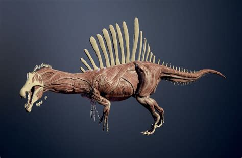 3D model Spinosaurus skeleton VR / AR / low-poly | CGTrader