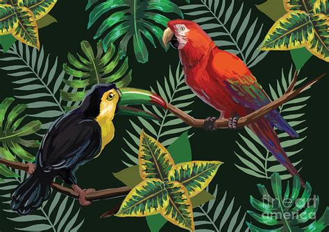 Vector Painting With Tropical Birds Digital Art by Julial - Fine Art ...