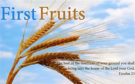 . Feast Of Firstfruits, Messianic Prophecy, Feasts Of The Lord, Resurrection Day, Hebrew Roots ...